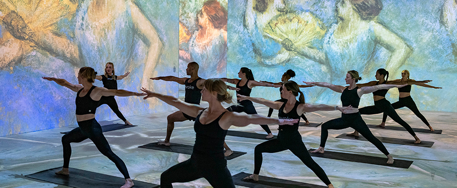 Intro to Yoga Workshop